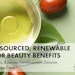 ct_jojoba_desert_850X425_Rev