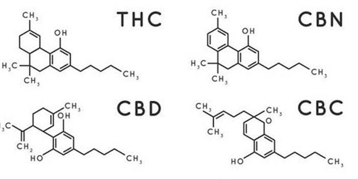Cure Pharmaceuticals is 'committed to developing new ways to deliver and experience medicines, supplements and cosmetics.'
