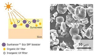 Sunhancer™ Eco SPF booster is non-nano, inherently biodegradable and non-persistent in the environment. That means you are now able to reduce the quantity of UV filters in your formulation and potentially lower environmental impact while maintaining protection from the sun.