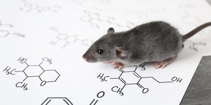 RatLabChemistry_850x425