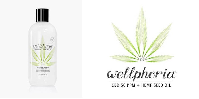 425-wellphoria
