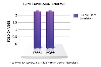 Bcr Gci2009 Graph