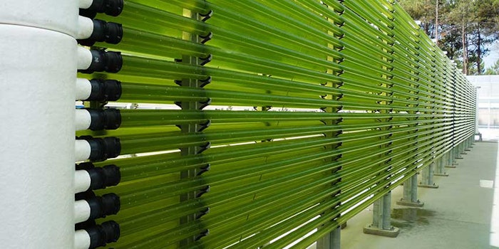 Allmicroalgae Algae Expansion