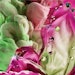 Soft Spheres Cirebelle