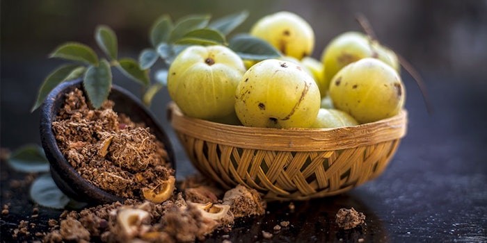 Sytheon's Synastol TC is a natural, anti-aging active derived from Terminalia chebula fruit.