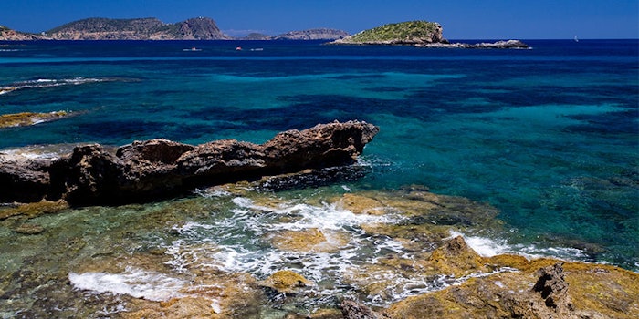Roelmi HPC’s Méditerranée Line is a selection of naturals that are sourced extracts from renewable, plants of the namesake Mediterranean region.