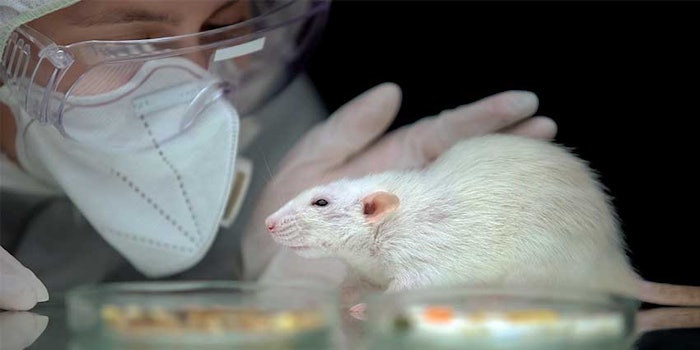 France is the first country in the EU to export its “ordinary” cosmetics to China without testing on animals.