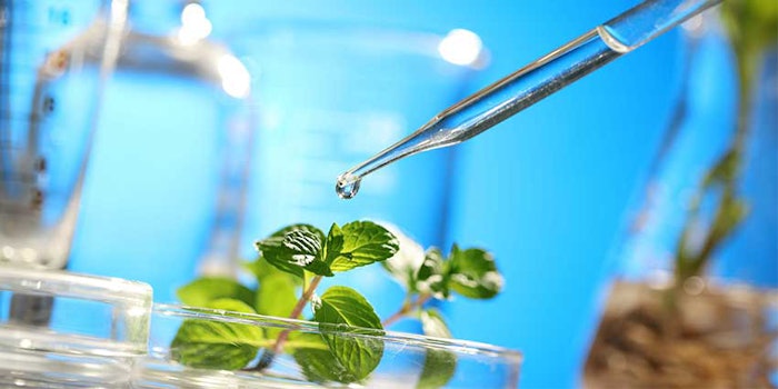 Mibelle Biochemistry develops active ingredients for the cosmetic and food industries based on naturally derived plant compounds.