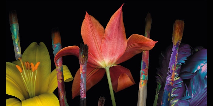 The event will award three places in painting and watercolor and three places in photography as well as one talent award.