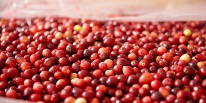Diana Food's cranberry project is generated within its Canadian facility, which is dedicated to the production of health actives from natural Nordic fruits.