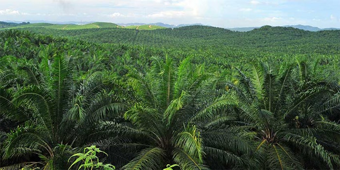 Jarchem received certification to be an official member of the Roundtable on Sustainable Palm Oil (RSPO).