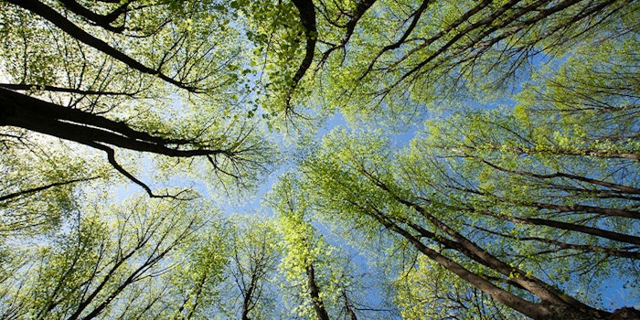 Firmenich has committed to goals across three key areas: acting on climate change, embracing nature and caring for people.