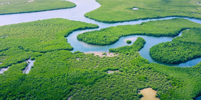 Costa Brazil's products are made from ingredients found within the Amazon rainforest and created responsibly with the help of local cooperatives and scientists.