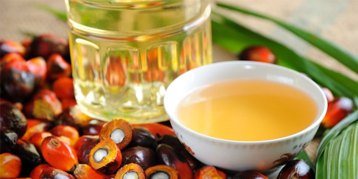 Palm oil derives from the fruit of the oil palm that is grown in the humid tropics.