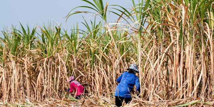 While fears of spreading the virus and government budget cuts make labor oversight more difficult.