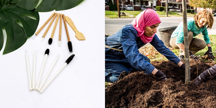 Qosmedix will be donating to The Nature Conservatory’s Plant a Billion Trees Program. Photo: The Nature Conservancy.