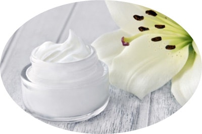 Shinetsu Ct2104 Image2 Creamflower