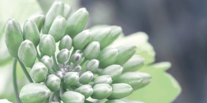 Cosphaderm Tapmix is a smart, antioxidant blend based on natural rapeseed tocopherols.