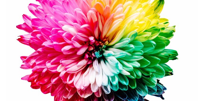 Vivify comprises Aakash Chemicals, Sandream Specialties, Calico and Heritage Color.