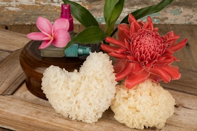 Sustainable Sourcing, Clean-friendly Production