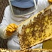 The inclusion of beekeeping will increase crop pollination, food production and financial stability across the region.