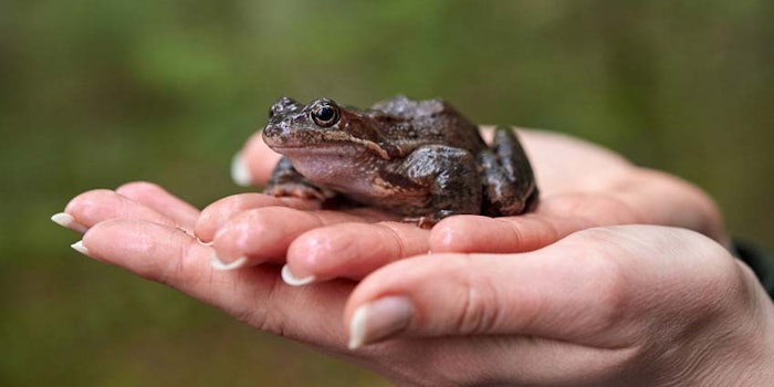WomansManicuredHandsHoldingFrog_850x425