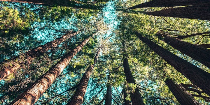 A cross-industry beauty consortium seeks to standardize product sustainability ratings, globally.