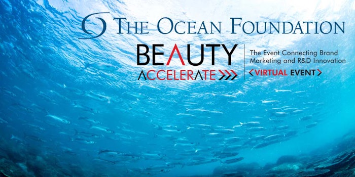 OceanUnderWaterSchoolFishBluelogos_850x425