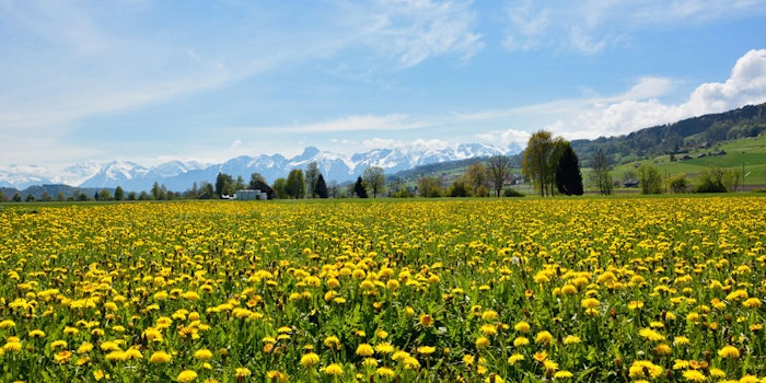 Evonik is acquiring Swiss plant extract producer Botanica.