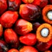 The price increase is due to cost increases for RSPO-certified palm, palm kernel oil and its derivatives.