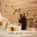 JD Lusteris acts as an emollient, co-emulsifier and humectant in one.