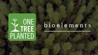 The partnership created forests that will remove over 60,000 lbs. of carbon dioxide each year, exceeding its reforestation goals of 28,000 lbs.
