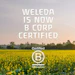 Weleda has achieved a B Corp certification with a score of 106.9.