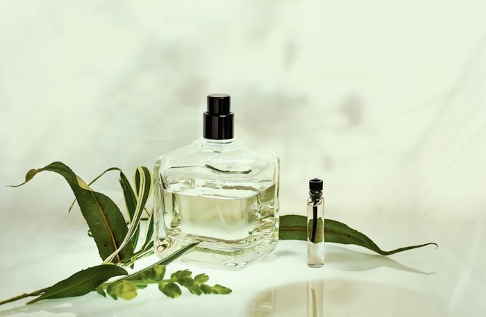 The L'Occitane team has studied numerous documents, from antiquity to the 20th century and created a database of 800 forgotten plants.