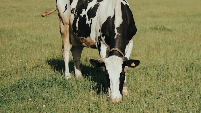 A new Skin Proud program, coinciding with Veganuary, seeks alternatives to dairy farming.