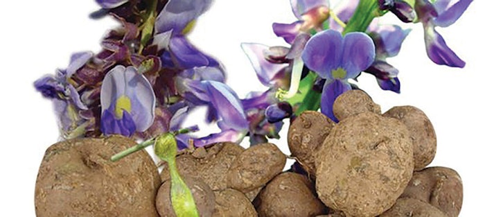 Bio Botanica (1)