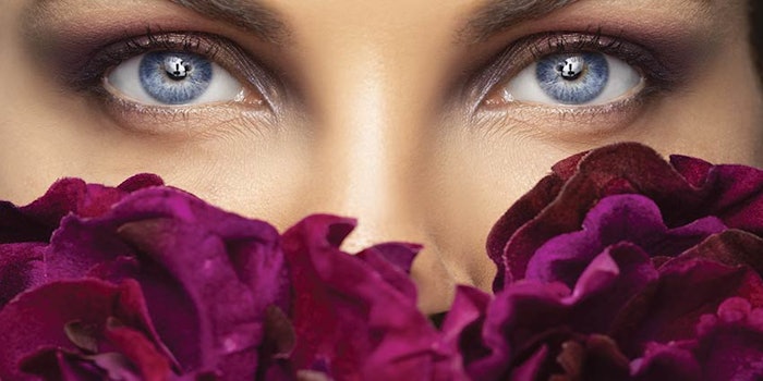 Si2202 Eye Dreamstime Xxl 137047055 850np