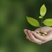 The partnership will provide New Directions with resources and capital to take advantage of the demand for natural and organic products.
