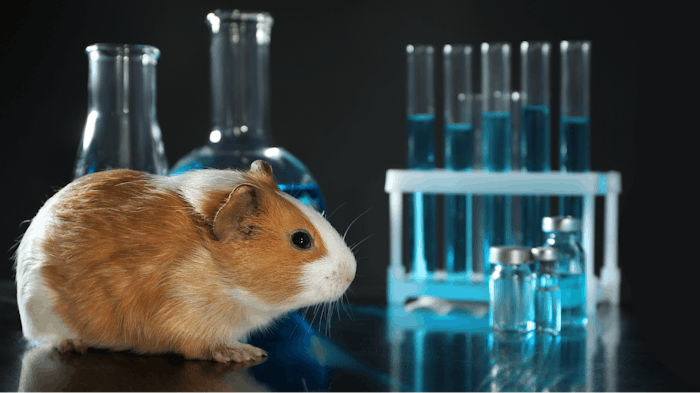 The CTPA and the U.K. cosmetic industry wants to promote the use of new approach methodologies (NAMs) as alternatives to animal testing for these vital safety requirements under other chemicals legislation, especially UK Reach.