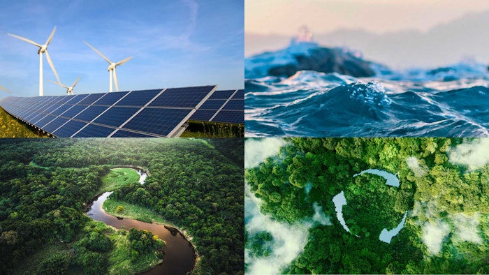 WWF Germany has been advising Beiersdorf on its climate strategy since 2016.