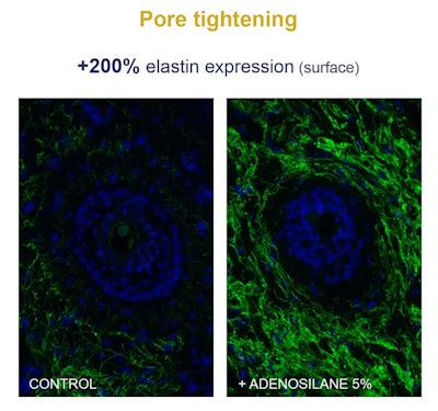 Exsymol Ct2203 Image1