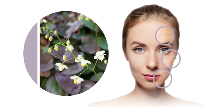 Grandiciin, an anti-blemish active, limits the biofilm-resident C. acnes and prevents tissue-damaging inflammation in blemish-prone skin.