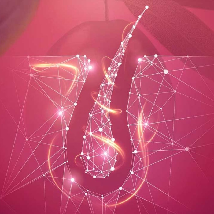 Elaya Renova was inspired by the architectural concept of tensegrity, i.e., tensional integrity, describing a condition wherein components inside a network under compression are in continuous tension.