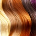 Dreamstime Xxl 23018827