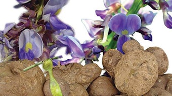 Bio Botanica