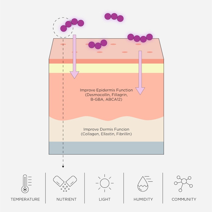 Cosmax's Rappoilot diagram for its second-generation microbiome.