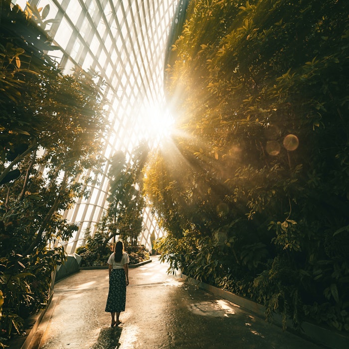 From plastic-neutral claims to carbon-capture innovation, beauty’s supply chain and leading brands are reshaping the state of sustainability.