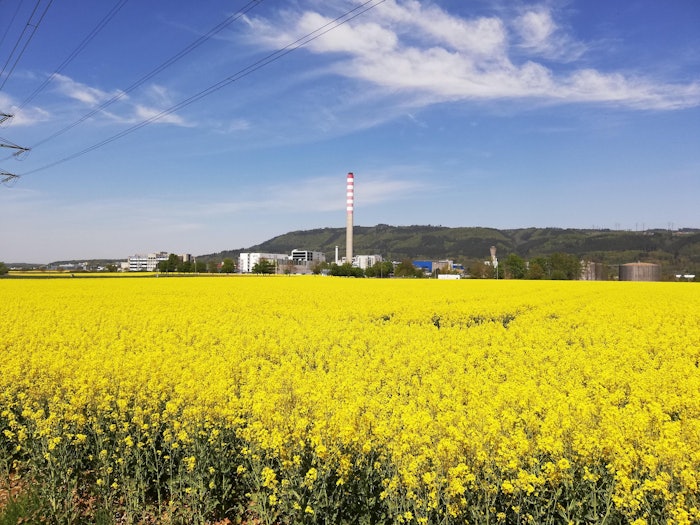 Research by DSM has led to a new scientific breakthrough whereby it is now possible to produce vitamin A using a specially developed strain of yeast that converts a renewable carbon source into vitamin A.