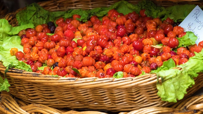 Tannin-rich Ñangapiri from the Argentine Misiones rainforest was used to create Novachem's natural sebum modulator.