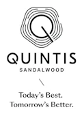 New Quintis Logo